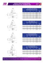 Hygienic Diaphrgm Seal Gauge TETROPRESS 300 + HYGIENIC SEAL-3