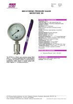 Mini Hygienic Pressure Gauge MT100 - 1