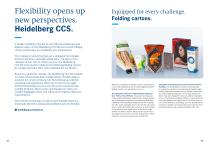 Heidelberg CCS-2