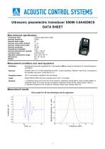 S5096 – angle-beam transducer 5 MHz / 45° - 1