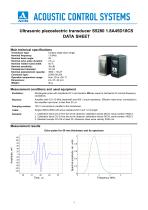 S5280 – angle-beam transducer 1,8 MHz / 45° - 1