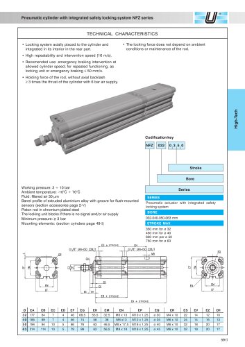 NFZ_Pneumatic cylinder with integrated safety locking system