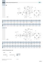 RM/RS Ø 80-100_ISO 21287 Compact cylinders-5