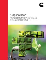 Cogeneration Combined Heat And Power Solutions  For A Sustainable Future-1