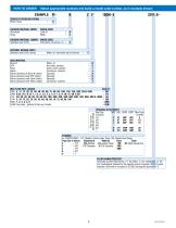 Piston Inline  PI - 2