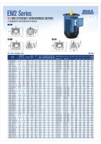 IE2/IE3 Electric Motor-4