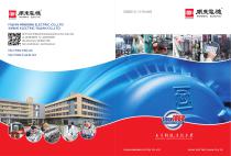 Our Company-1