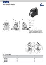 5-AXISclamping system-12