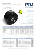 ATEX Motor-1