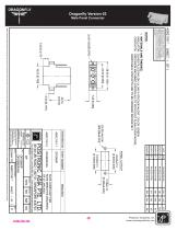 Dragonfly Catalog-7