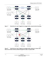 Collapsed Spine EVPN VXLAN-13