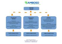 Printing & Packaging: choosing the air depuration system-2