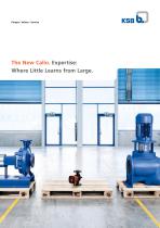 The New Calio. Expertise: Where Little Learns from Large. - 1