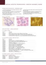 Full range of didactic material - 2