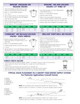 Air Release and Vacuum Valve - 2