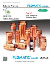 Check Valves SerieS 60Se, 80e, 100e - 1