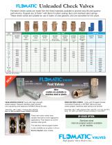 Check Valves SerieS 60Se, 80e, 100e - 3