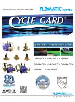 Cycle Guard Valves - 1