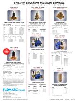 Cycle Guard Valves - 4