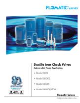 Ductile Iron Check Valves-1