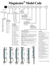 Wide Flag Indicator-2