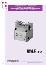 MAE-1