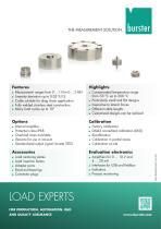 Flyer Load Experts-1