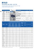 Hoist chains - Industrial Chains-4
