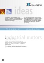 Industrial Motors - 3