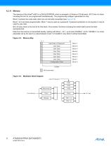 ATA5551M-PPMY Standard Industrial/Consumer Read/Write Transponder-6