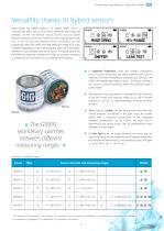 Polytector III G999S-3
