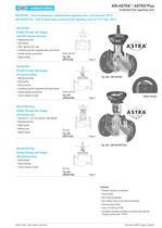 Free of maintenance combinend flow regulating valve - 1