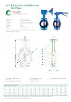 WATERWORK VALVES - 8