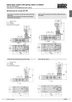 Hand lever valves - 2