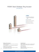 Piezoelectric Actuators - 10