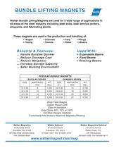 Bundle Lifting Magnets-3