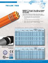 BAND-IT Electric Fastening Solutions Guide-10
