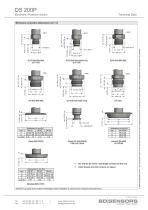 data sheet DS 200P - 5