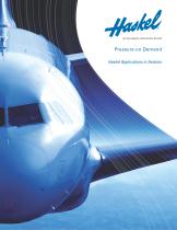 Airline Industry-1
