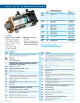 PNEUMATIC DRIVEN LIQUID PUMPS_2009-8