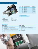PNEUMATIC DRIVEN LIQUID PUMPS_2009-9