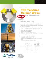 Topdrive Brakes-1