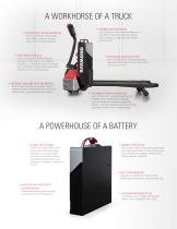 Raymond Lithium-3