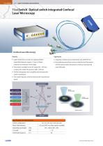 FiberSwitch® - 10