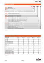 Display Temperature Switch DTP 8180 - 2