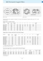 Industrial Magnetic Metal Separation systems - 17