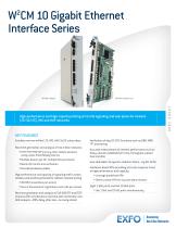 10 Gigabit Ethernet Interface Series ? W2CM-1