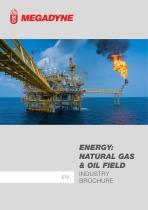 Energy: natural gas & oil field industry brochure - 1