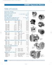 Regenerative Blowers - 3