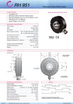 Datasheet RH951 (EN)-1